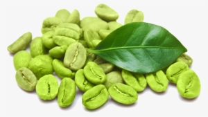 Green Coffee Bean Powder - Green Coffee Bean Png