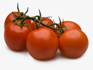 Tomatoes On The Vine - Plum Tomato