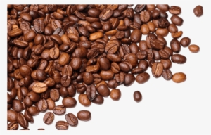 Free Png Coffee Beans Png Images Transparent - Coffee Beans Transparent Background