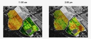 Ndvi Shows Different Results Just Three Hours Later - Ndvi Vs Evi