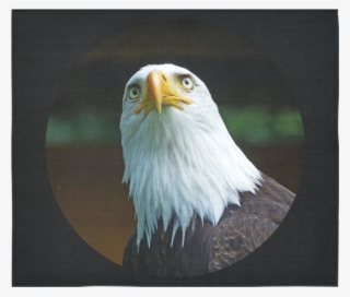 American Bald Eagle Head 001 06 Rd Cotton Linen Wall - Bald Eagle