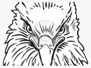Drawn Eagle Head - Eagle Head Front View
