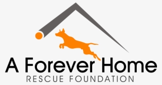 A Forever Home Rescue - Forever Home