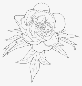 #flower #outline #floralwrap #draw #drawing #freetoedit - 動漫 人物 女 線 稿
