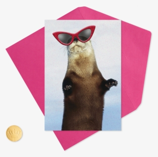 otter wearing sunglasses funny valentine's day - funny sunglasses