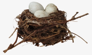 Nest Png, Download Png Image With Transparent Background, - Гнездо Картинка Png