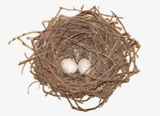 Birds Nest Transparent Background