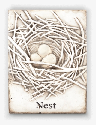 Nest - Visual Arts