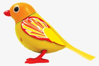 Bird-sunrise - Finch