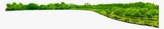 Park Png Transparent Image - رسم غابة بالالوان المائية