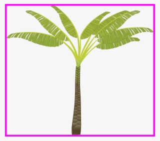 Stunning Island Palm Tree Leaves Plant Jungle Pa Pict - Palm Tree Clip Art