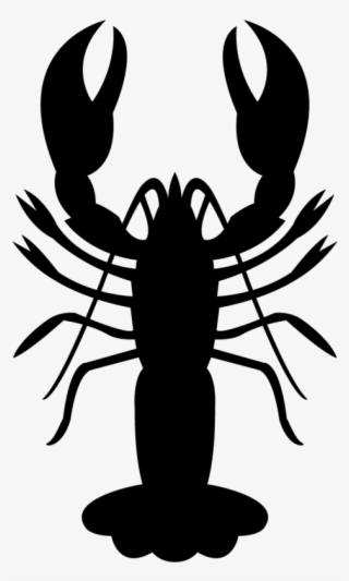 Lobster - Shrimp