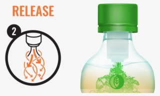 Learn More - Glass Bottle