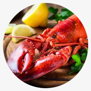 I Dream Of This Restaurant - Lobster Restaurant
