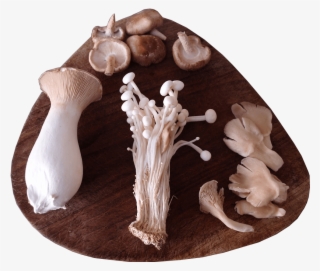 A Selection Of Sainsbury's Exotic Mushrooms Presented - Wood