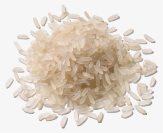 Grain De Riz Png - Small Portion Of Rice