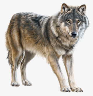 Coyote Clipart Desert Biome - Wolf Clipart