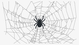 Crawleando A Web Com O Scrapy - Realistic Spider Web Drawing