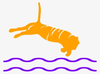 Clemson Club Swimming