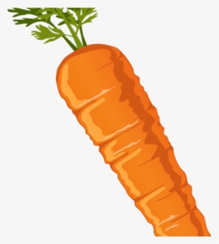 Carrot Clipart Pin Lori Molnar On Graphics Pinterest - Transparent Background Cartoon Carrot Png