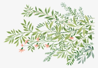 Design By Logo Koljòs - Illustration