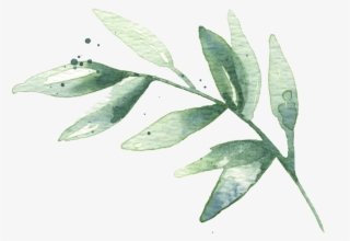 Watercolor Leaves 02 - Illustration