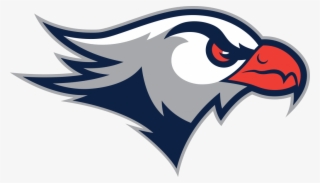 Lackawanna College Unveils New Athletics Logo - Lackawanna Falcons