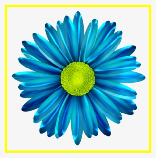 Daisies Clipart Gerber Daisy - Blue Daisy Flower Png