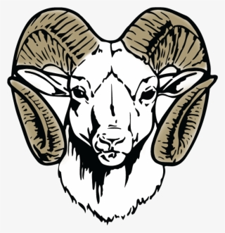 Blue Valley Usd 384 Home Of The Rams - Madison Comprehensive High School Logo