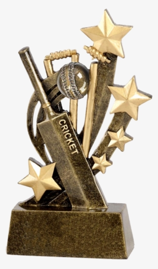 Guaranteed Workmanship - Awards In Cricket