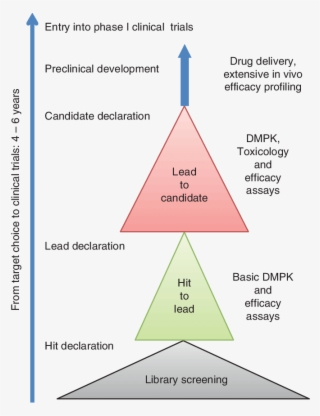 Outline Diagram Of A Drug Discovery Funnel - Diagram