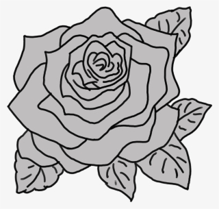 Grey Colour Kept To Make It Visually Pleasing - Rose Sketch Small