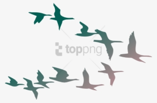 Free Png Flock Of Birds Png Image With Transparent - Flock Of Birds Clipart