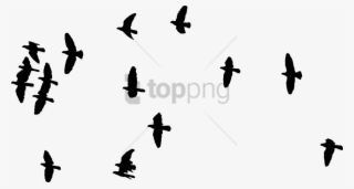 Free Png Flock Of Birds Silhouette Png Image With Transparent - Editing Picsart Png Background