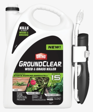 Transparent Product Packshot Of Front Of Product - Ortho