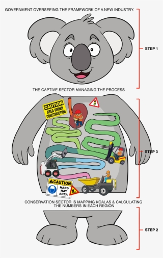 To Ensure The Koala Can Thrive Into The 21st Century, - Cartoon