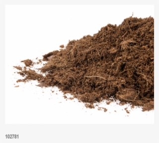 102781 Bild Closeup 0564 - Sand