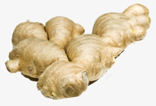 Ginger Download Free Png - Ginger Root