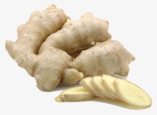 Ginger Free