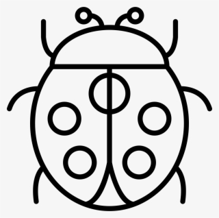 Png File Svg - Ladybird Beetle