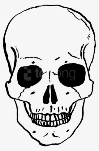 Free Png Skulls Png Images Transparent - Human Skull Cartoon