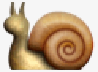 Emo-snail - Turkey