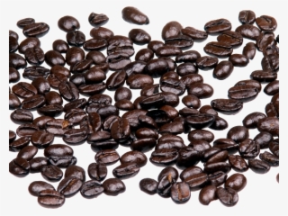 Coffee Beans Png Transparent Images - Coffee Bean
