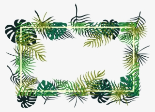 Tropical Vector Ornament - Green Box Backgrounds Png