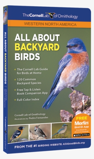 All About Backyard - All About Backyard Birds