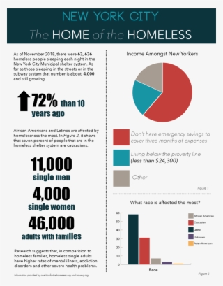 Homeless Infographic - Diagram