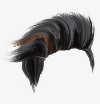 Hairstyles Png Transpa Images 1145 Pngio - Hair Png Sr Editing Zone,  Transparent Png