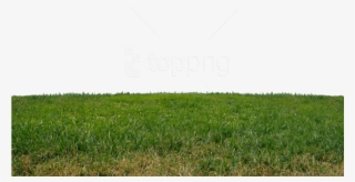 Free Png Download Grass Png Images Background Png Images - Land Png For Photoshop