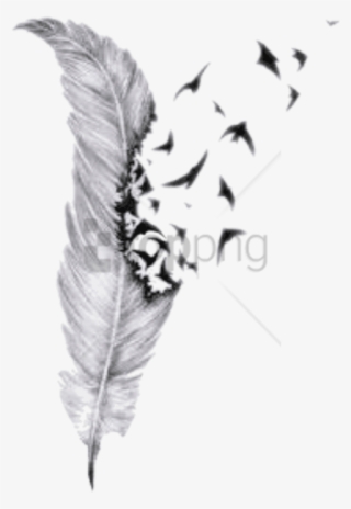 Free Png Feather Drawings With Birds Png Image With - Pencil Feather Drawing