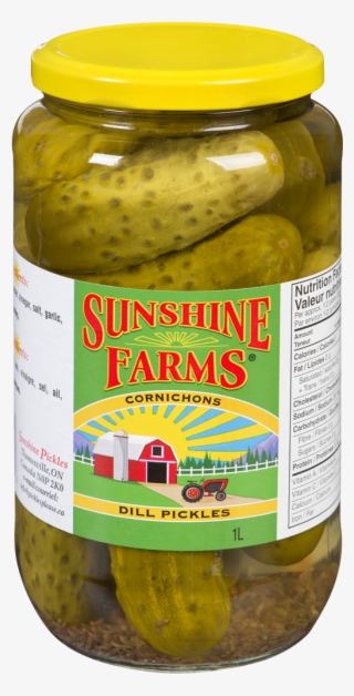 Organic Whole Dill Pickles By Sunshine Farms - Spreewald Gherkins